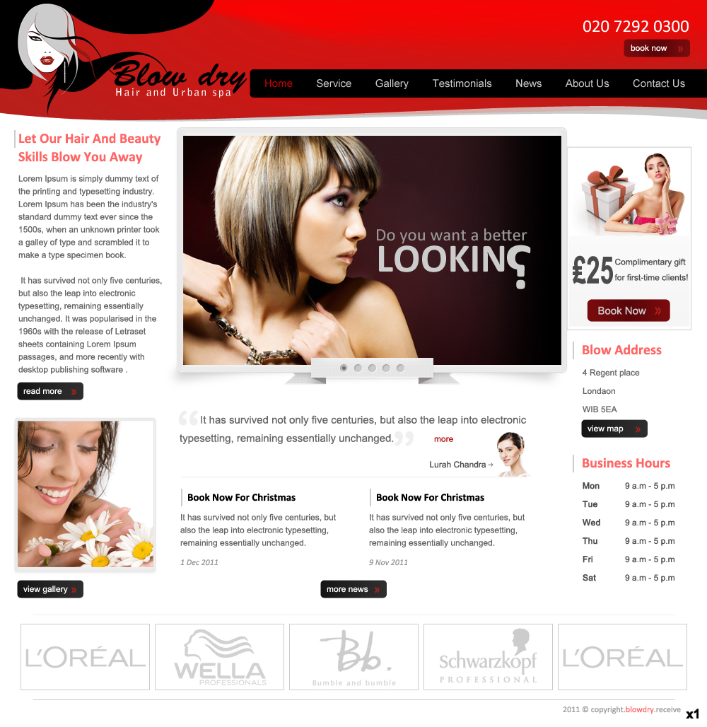 Web Design by pb for bOnline Ltd. | Design #537975