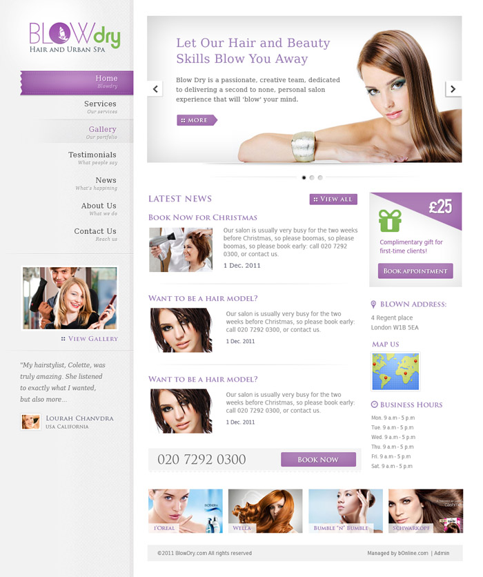 Web Design by the-lion-king for bOnline Ltd. | Design #538529