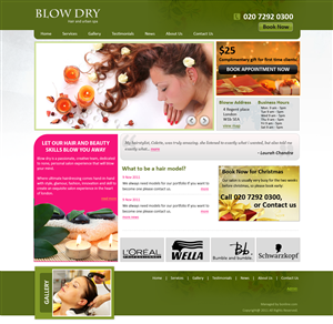 Web Design by Sandeep Taur for bOnline Ltd. | Design #538599