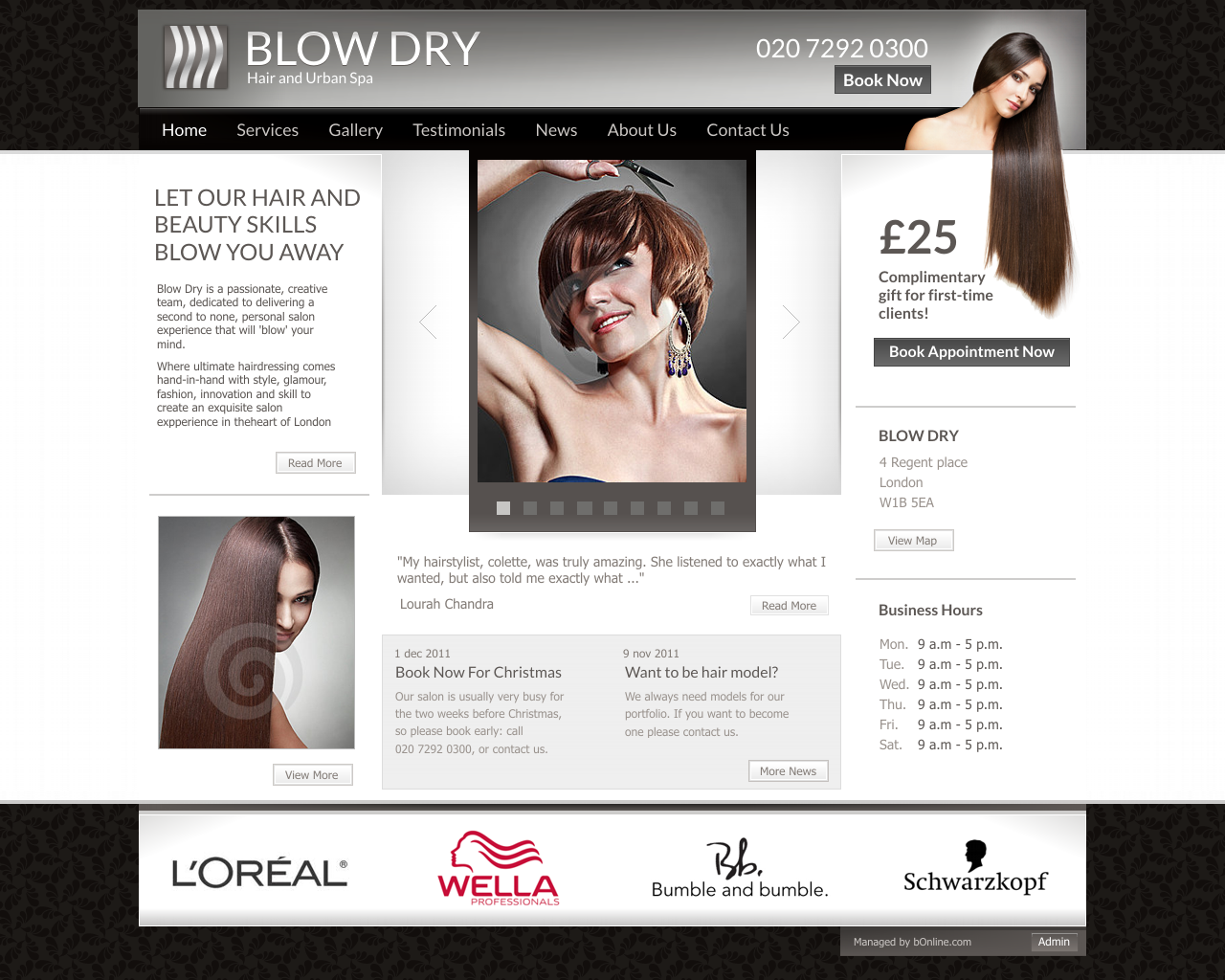 Web Design by perihelio for bOnline Ltd. | Design #537355