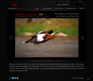 Web Design par pb pour ce projet | Design : #545132