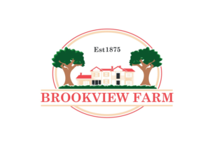 Logo Design by Soul Light