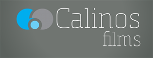 Logo Design by Modine Designs