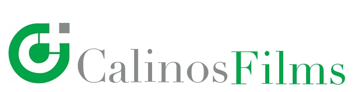 Logo-Design von Modine Designs für dieses Projekt | Design #541804