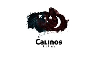 Diseño de Logo por Esteban Chavez para este proyecto | Diseño #556358