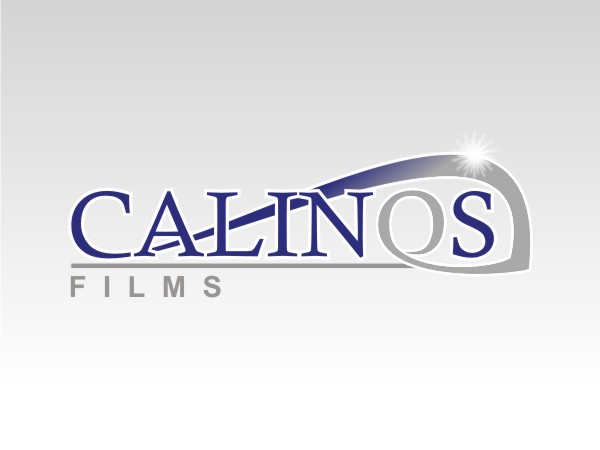 Logo-Design von stin für dieses Projekt | Design #552258