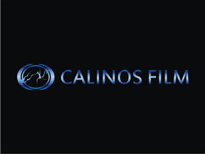 Logo-Design von stin für dieses Projekt | Design: #556268