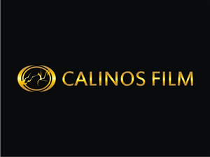 Logo-Design von stin für dieses Projekt | Design: #556270