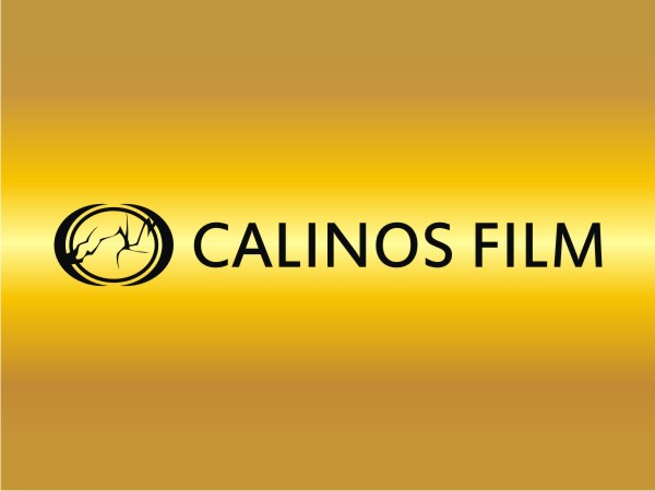 Logo-Design von stin für dieses Projekt | Design #556271