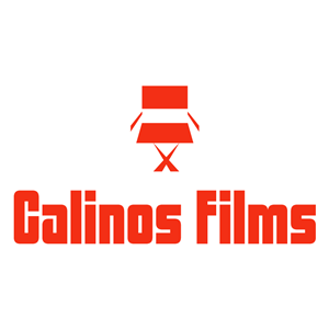 Logo Design by 360DS