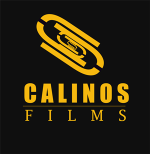 Logo Design by ksenia design