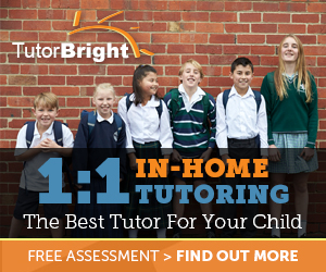 Banner Ad Design by Hristo Itchov for TutorBright | Design #13474819