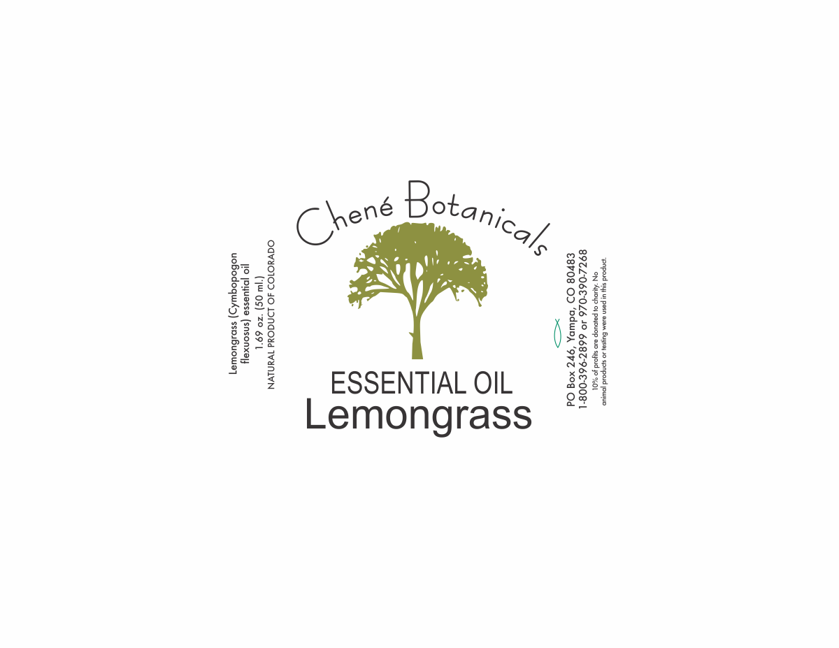 Logo Design by ipommm vvti for this project | Design #13458863