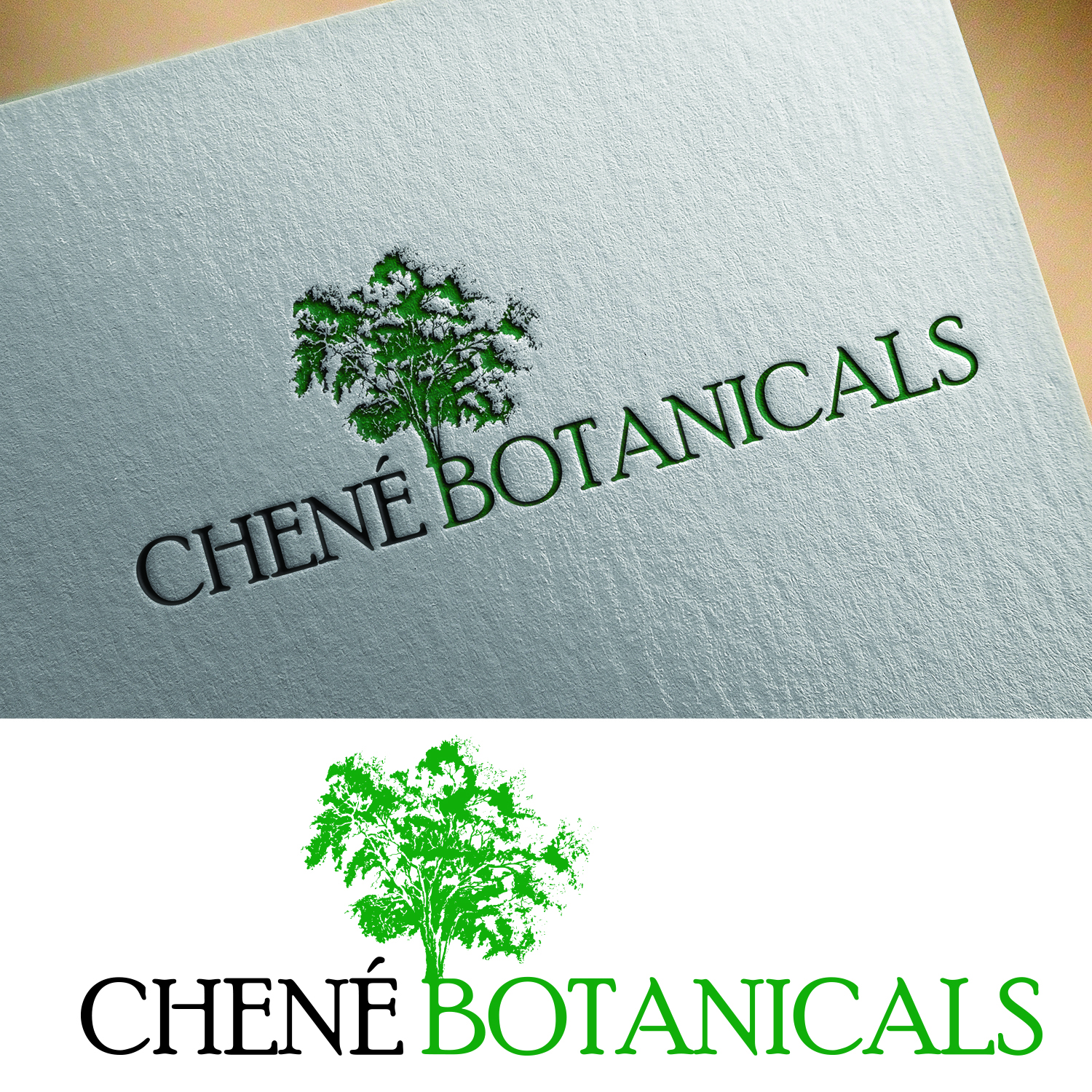 Logo Design by jameskatholine for this project | Design #13478206