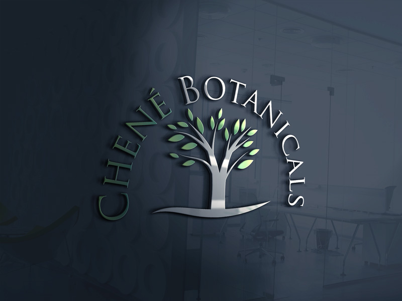 Diseño de Logo por Jon cristian para este proyecto | Diseño #13451877