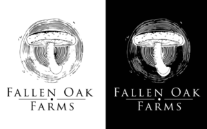 Logo Design by Emir Adili for this project | Design #13475251