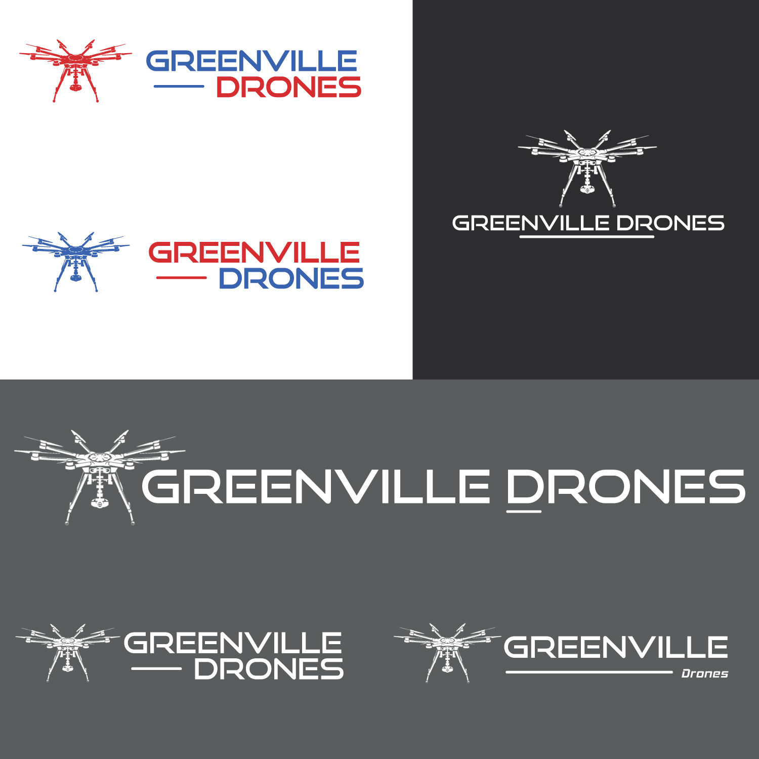 Logo Design by Tarang Softech for Eagles Nest Aerial Productions, LLC | Design #13591963