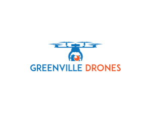 Logo Design by imnurealam for Eagles Nest Aerial Productions, LLC | Design: #13498124