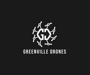 Logo Design by abeanul27 for Eagles Nest Aerial Productions, LLC | Design: #13503687