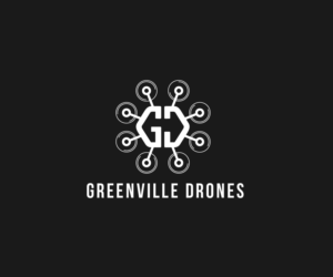 Logo Design by abeanul27 for Eagles Nest Aerial Productions, LLC | Design: #13503688