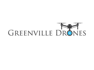 Logo Design by adobeomor for Eagles Nest Aerial Productions, LLC | Design: #13492741