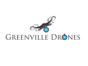 Logo Design by adobeomor for Eagles Nest Aerial Productions, LLC | Design: #13492742