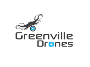 Logo Design by adobeomor for Eagles Nest Aerial Productions, LLC | Design: #13526939