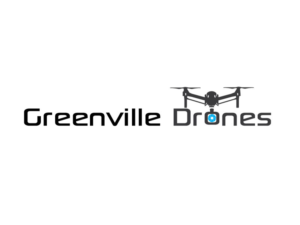 Logo Design by adobeomor for Eagles Nest Aerial Productions, LLC | Design: #13526940