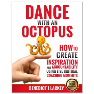 Book Cover Design by autentik design