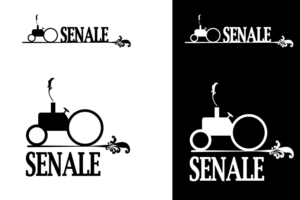 Logo Design by Emir Adili