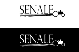 Logo Design by Emir Adili for this project | Design #13508060