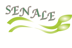 Logo Design by butterfly1989 for this project | Design #13589088