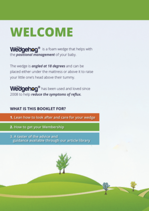 Flyer Design by daflagel for Group FMI Limited | Design #13593724