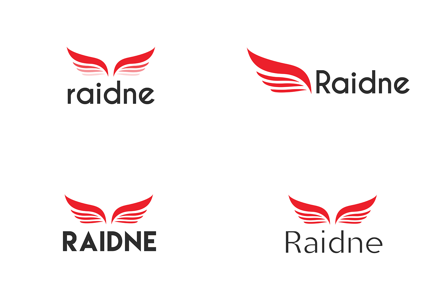 Logo Design by TurskisDesign for raidne | Design #13496759