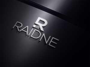 Logo Design by Design Kolektiv for raidne | Design: #13502122