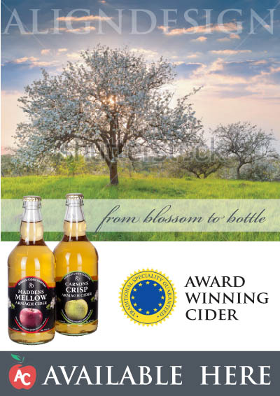 Poster Design by AlignDesign for this project | Design #2472907