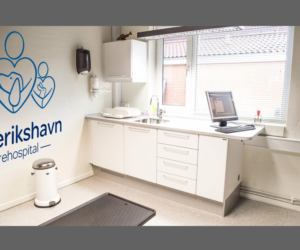 Logo Design by El Ojo creativo for Redmonkey | Design: #13548117