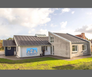 Logo Design by El Ojo creativo for Redmonkey | Design: #13643575