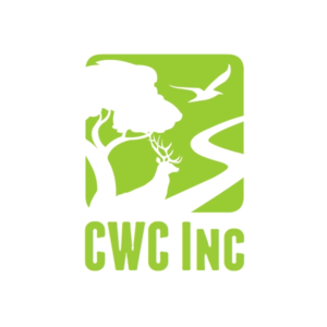Logo Design by designdruid for Canyon Wren Consulting Inc | Design: #13504692