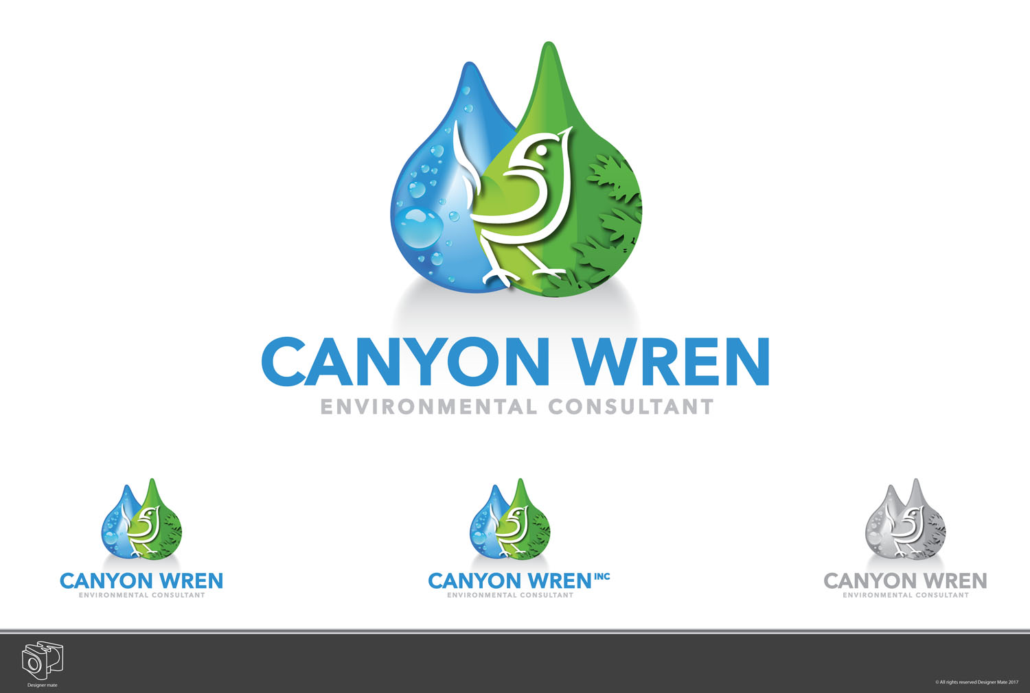 Logo Design by Designer Mate for Canyon Wren Consulting Inc | Design #13592313