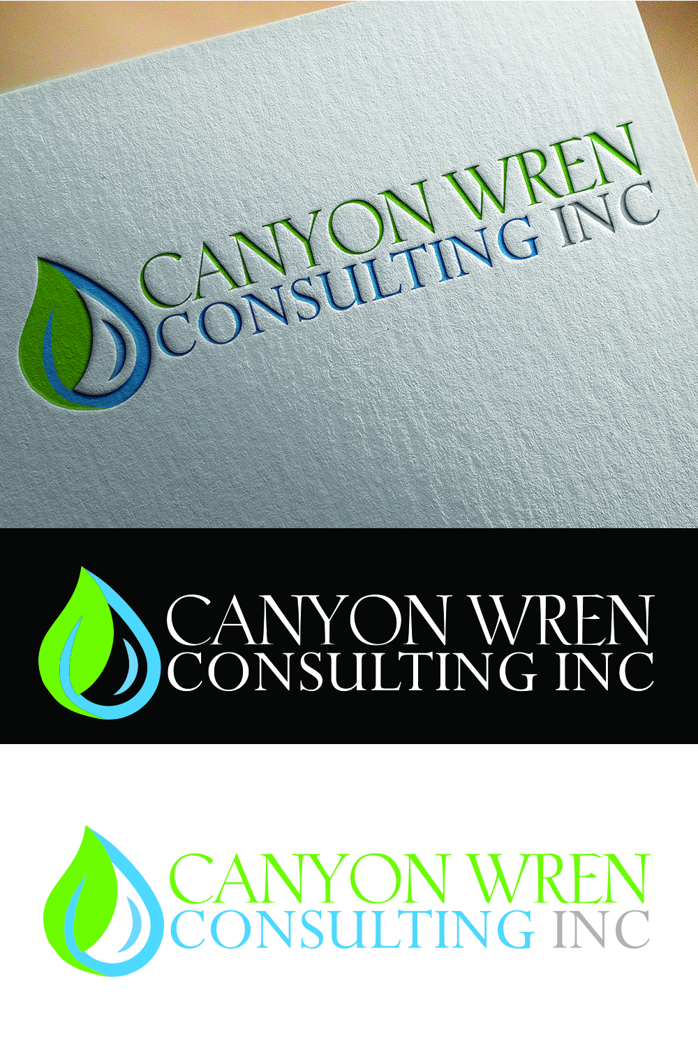 Logo Design by jameskatholine for Canyon Wren Consulting Inc | Design #13505124