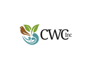 Logo Design by MOH Studio for Canyon Wren Consulting Inc | Design: #13504820