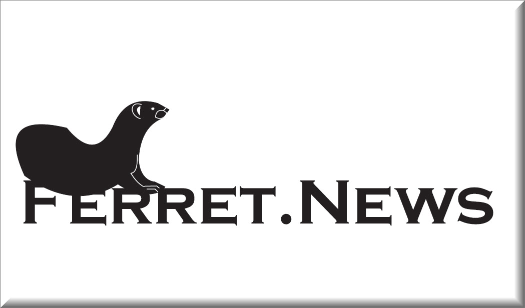 Logo Design by butterfly1989 for True Luck, Inc.  | Design #13506074