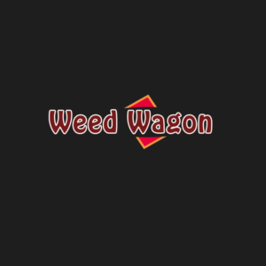 Logo Design by Graphics passion