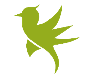 Logo Design by Umar
