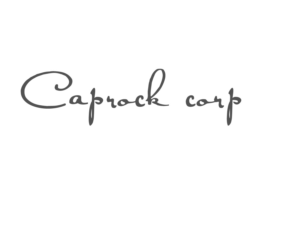 Diseño de Logo por Elisa Davis para este proyecto | Diseño #13531118