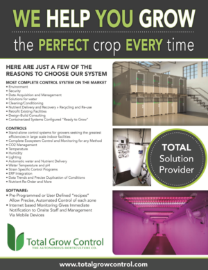 Advertisement Design by MayaDevi