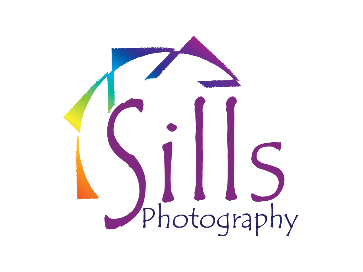 Logo Design by Matea for this project | Design #13643133