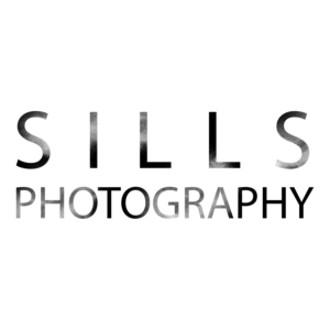 Logo Design by milanstefanovic2233 for this project | Design #13597288