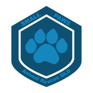 Logo Design by jeavi for Small Paws Animal Rescue QLD | Design: #13530796